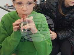 Открит урок и експозиция под надслов „Имало едно време“, посветени на Деня на християнското семейство, в Българското училище „Иван Вазов“ в Престън и Ланкастър