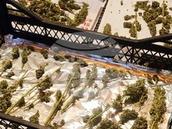 Полицейски служители откриха канабис в частен имот в самоковско село