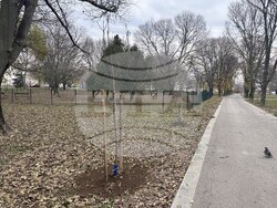 Снимка: Община Русе