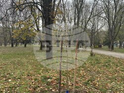 Снимка: Община Русе