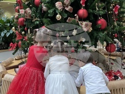 Снимка: Фондация „Майки за донорството“