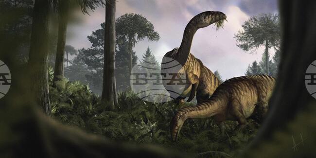 Силна буря е убила бебета птерозаври преди 150 млн. години, показва проучване 