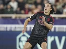 Monaco Soccer Champions League