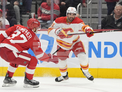 Flames Red Wings Hockey