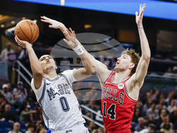 Bulls Magic Basketball