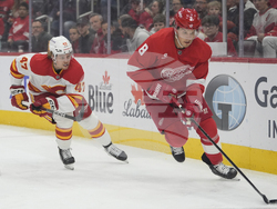 Flames Red Wings Hockey