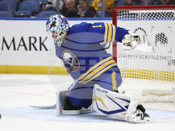 Wild Sabres Hockey