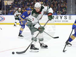 Wild Sabres Hockey