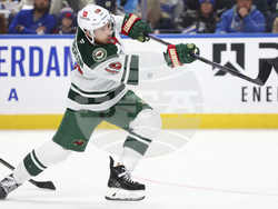 Wild Sabres Hockey