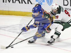 Wild Sabres Hockey
