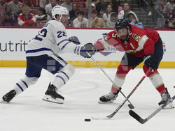 Maple Leafs Panthers Hockey
