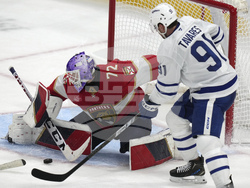 Maple Leafs Panthers Hockey