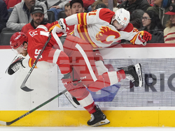Flames Red Wings Hockey