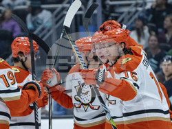 Ducks Kraken Hockey