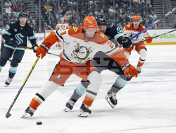 Ducks Kraken Hockey