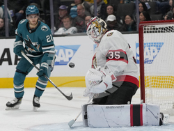 Senators Sharks Hockey
