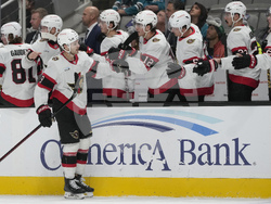 Senators Sharks Hockey