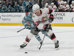 Senators Sharks Hockey