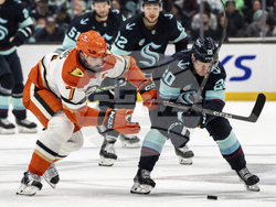 Ducks Kraken Hockey