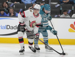 Senators Sharks Hockey