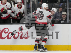 Senators Sharks Hockey