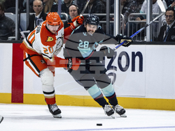 Ducks Kraken Hockey