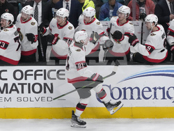 Senators Sharks Hockey