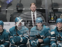 Senators Sharks Hockey