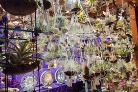 Франция - Страсбург - Коледен базар