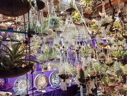 Франция - Страсбург - Коледен базар