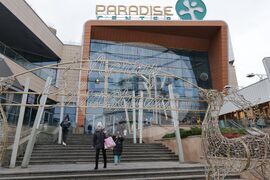 СДВР - брифинг