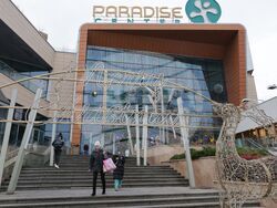 СДВР - брифинг