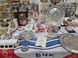 Български Червен кръст - 60 години от създаването на Водноспасителната служба