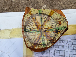 Видин - Бонония - археологически разкопки