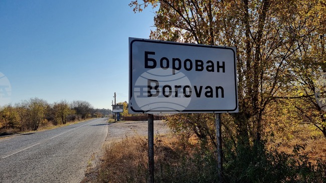 Програма за овладяване на популацията на безстопанствените кучета ще приемат днес общинските съветници в Борован