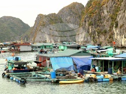 Виетнам - рибарско селище Бен Бео - ежедневие