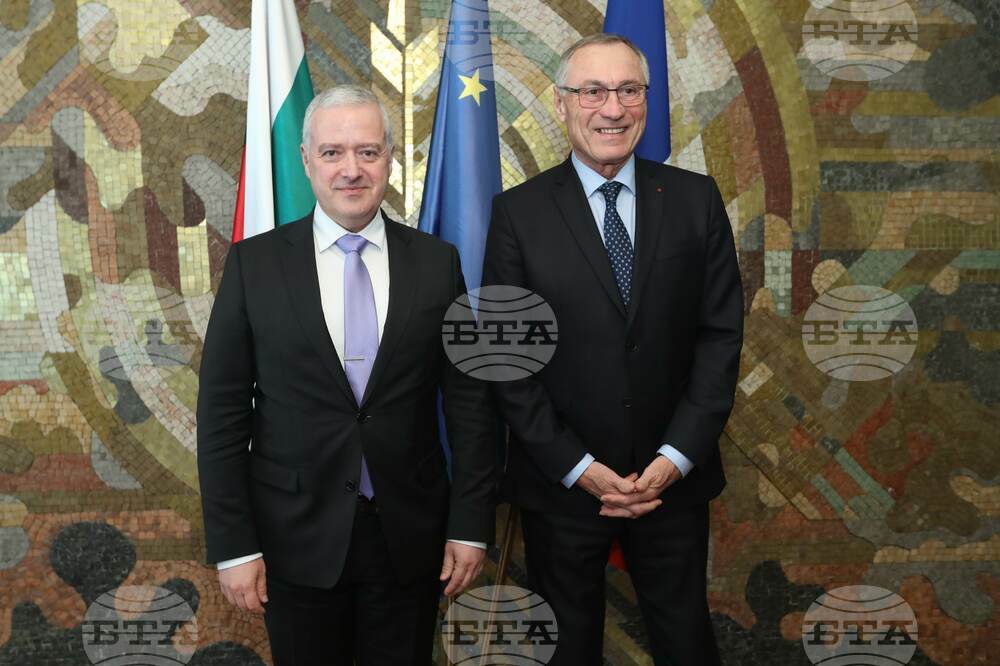 Foreign Minister Confers with French President's Special Envoy for Africa