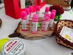 Снимка: Община Плевен