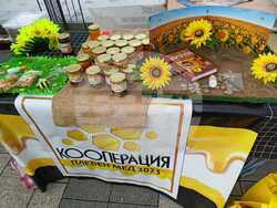 Снимка: Община Плевен