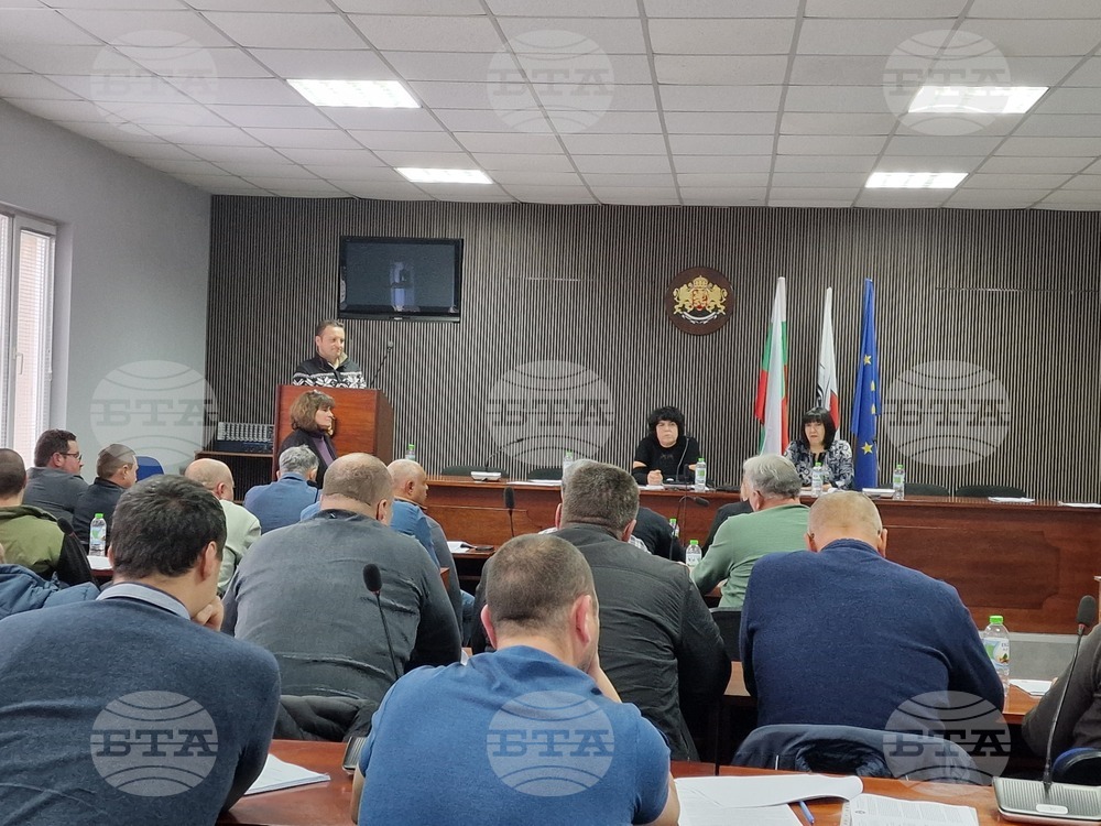 Около 80 безстопанствени кучета са кастрирани от началото на годината в Омуртаг