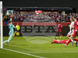 Germany Soccer Conference League