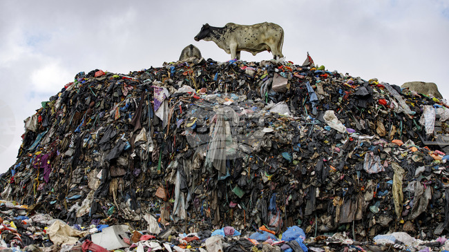 България има реален капацитет за повторна употреба и рециклиране на текстил, казва Сирма Желева, изпълнителен директор на БАКТ