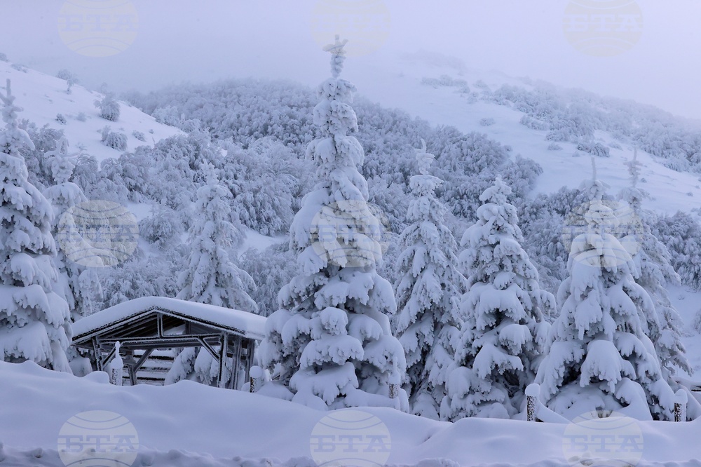 Siberian Cold Hits Central, Eastern Turkiye, with Temperatures Dropping to Minus 20C