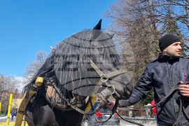 Банско - Тодоровден 