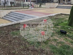 Опака - елха - украса 