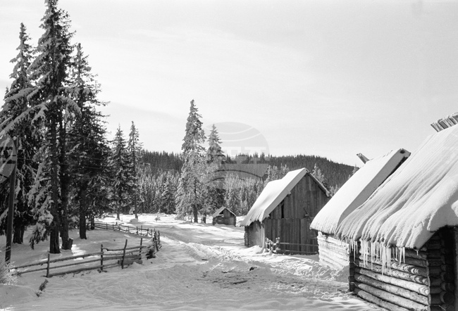 Местността Картела