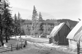 Местността  Картела