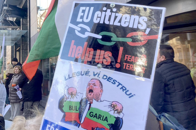 Bulgarians Rally in Brussels, Demand EU Support over Political Situation in Bulgaria