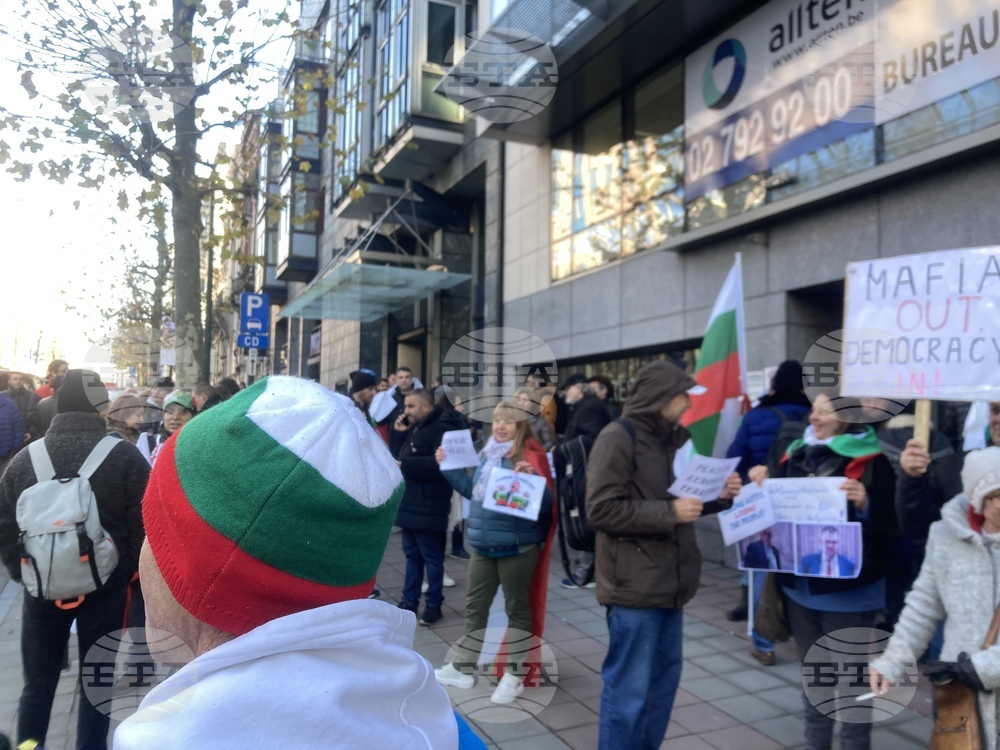 Българи, организирани от партия "Величие", протестират в Брюксел срещу политическата обстановка у нас