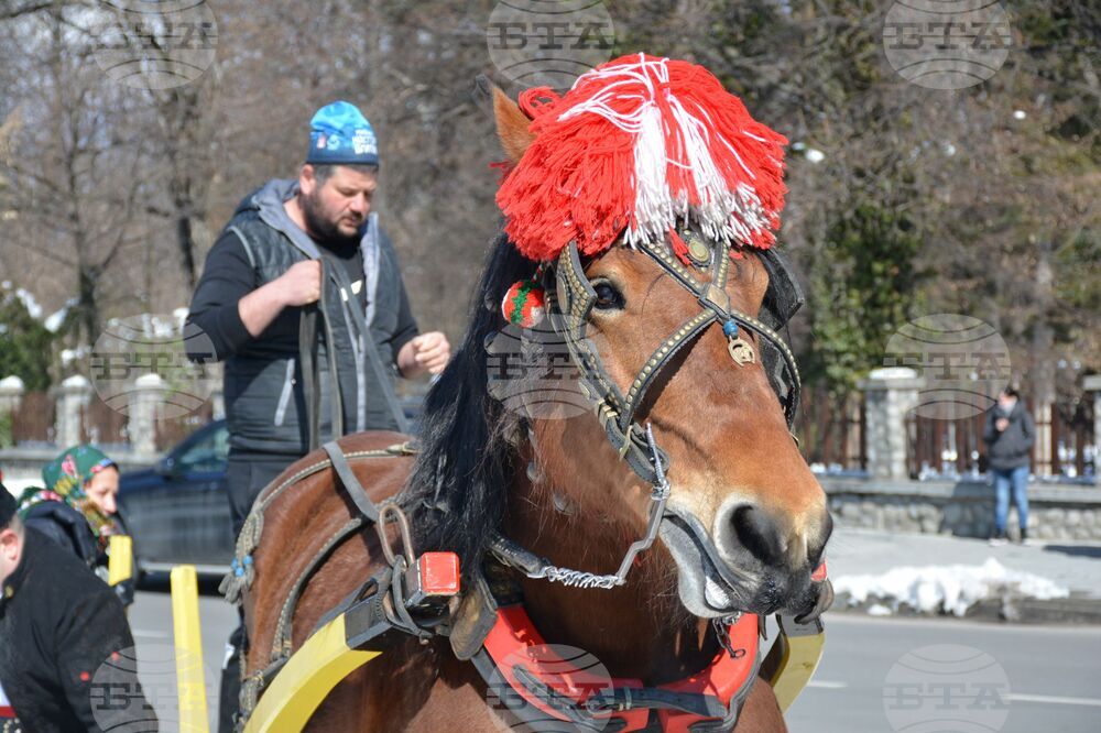 Банско - Тодоровден 